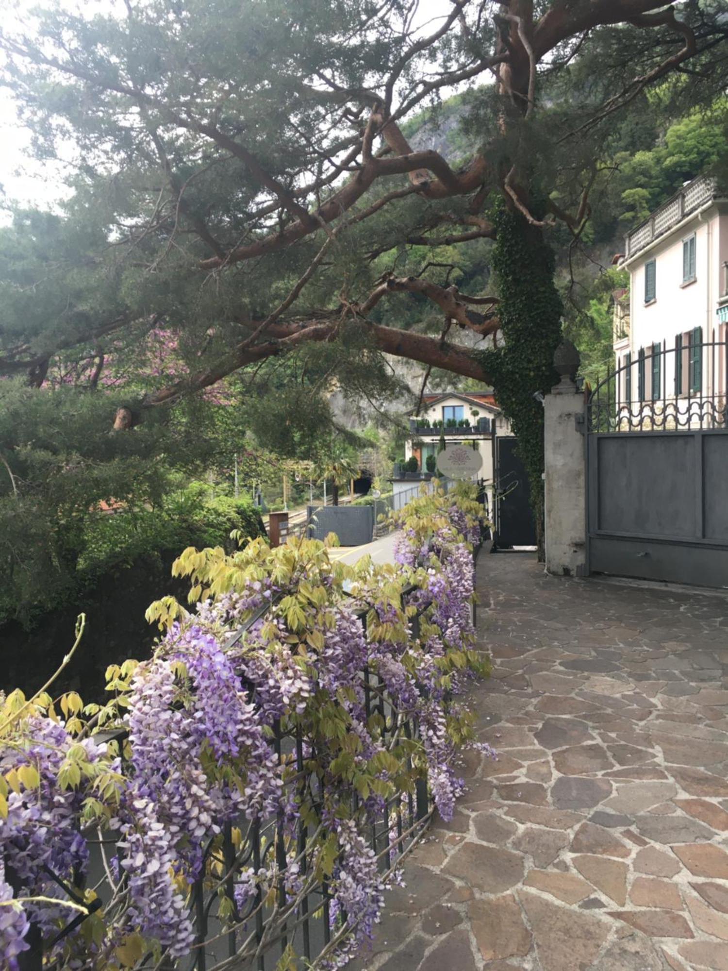 Villa Varenna Bagian luar foto